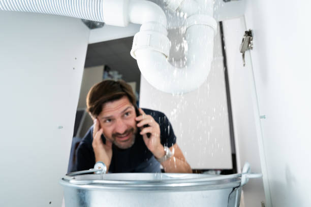 Best Local Plumber Services  in Connerton, FL